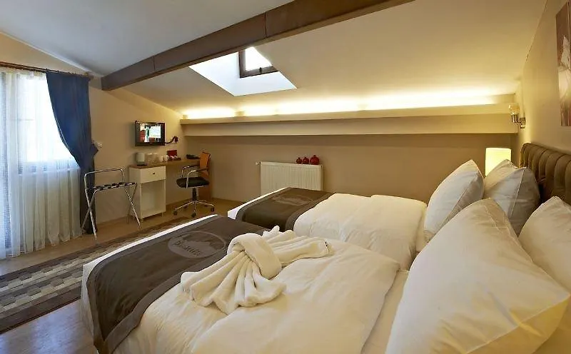 Plussuite Hotel Taksim Istambul Turquie